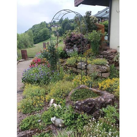 Ferienwohnung Wiesenblick Oberharmersbach Zewnętrze zdjęcie